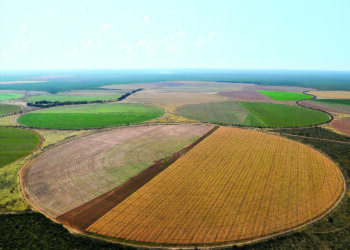 Do gado a uma importante região agrícola
