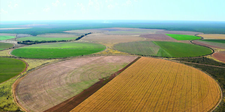 Do gado a uma importante região agrícola