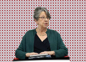 Bate-papo com Maria Hermínia Tavares