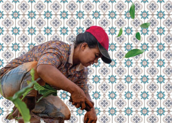 A Ascensão das Mulheres na Agricultura Familiar do Nordeste