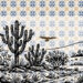 Começa o desafio de regulamentar a caatinga